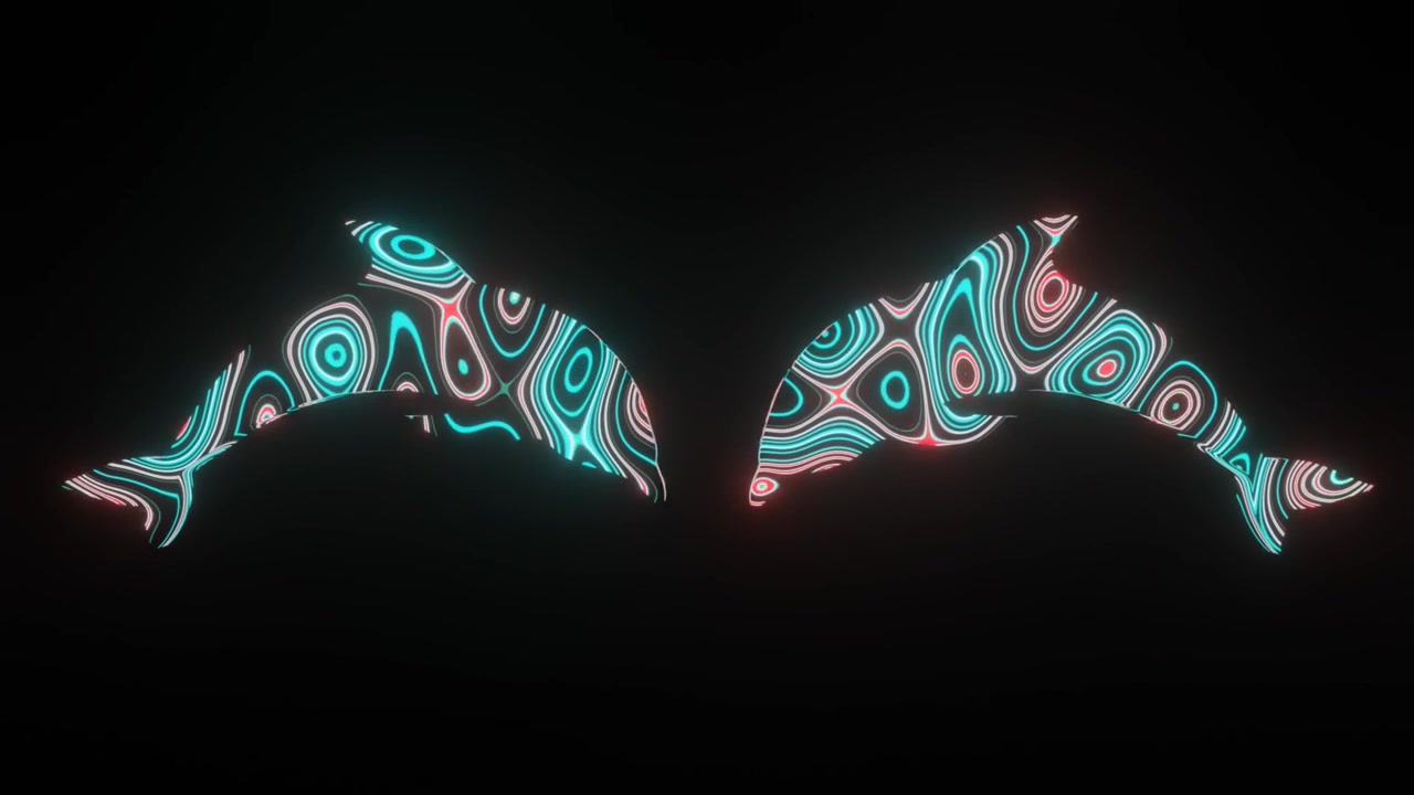 4k video animation of beautiful texture or pattern formation on the two Dolphins body shape, isolated on black background. 3d rendering abstract loop animation neon lighting effect on Dolphins.