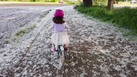 Niña-Con-Casco-Rosa,-Zapatos-Rosas,-Bicicleta-Azul,-Falda-De-Tul-Blanca,-Andar-En-Bicicleta-En-Un-Camino-Rural-Cubierto-De-Polen-Blanco-Y-Flores-De-álamos-En-El-Campo-De-Milán,-Italia.