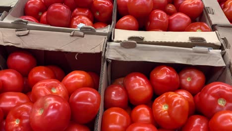 hermosos tomates rojos están en el mostrador en cajas de cartón