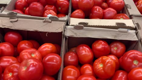 beautiful red tomatoes are on the counter in cardboard boxes