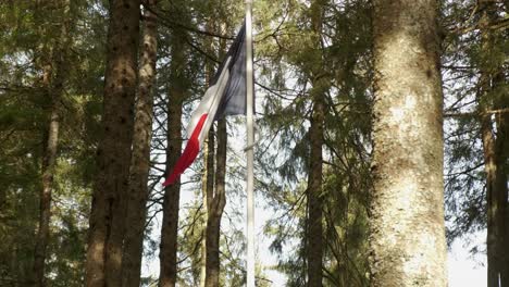bandera francesa en el viento entre árboles bosque ventoso
