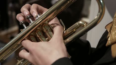 mariachi trumpet player