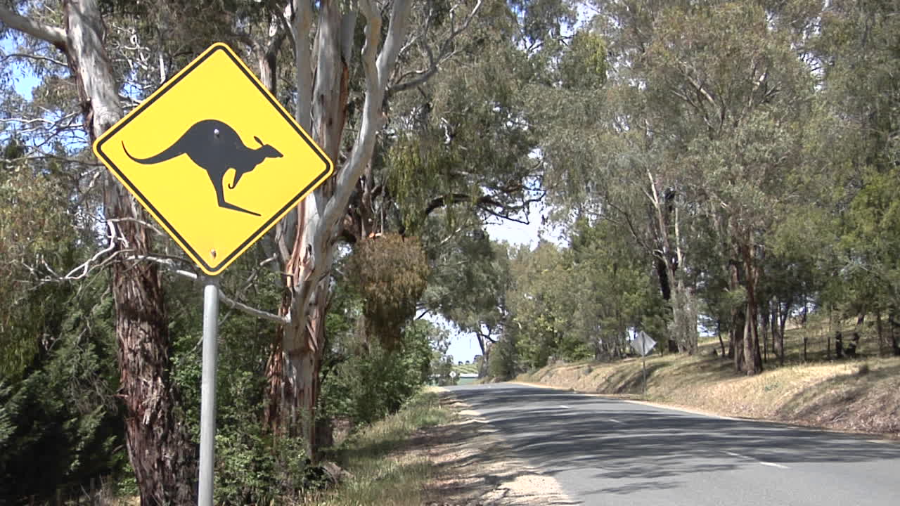 un cartel de cruce de canguro cerca de los árboles 3