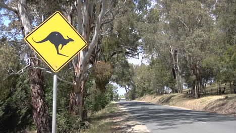 a kangaroo cross road sign stand near trees 3