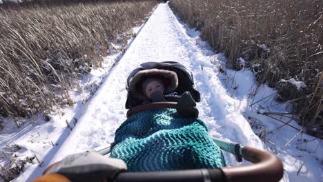 pov pulling baby in stroller all bundled up on winter path slomo