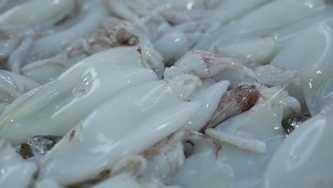 varios tipos de mariscos crudos, de cerca