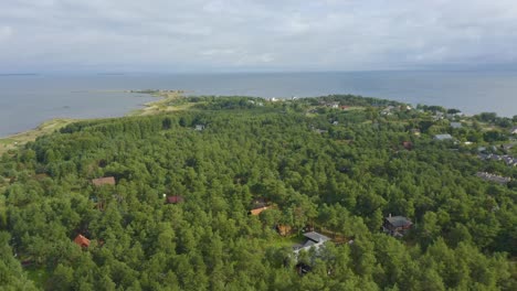 drone en movimiento lento de un pueblo estonio en el bosque junto al mar