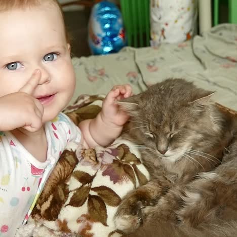 cute baby girl with cat