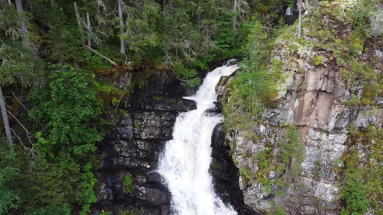 las imágenes de drones capturan la cascada de flokofallet en noruega, cayendo en cascada por acantilados rocosos en un entorno de bosque exuberante.
