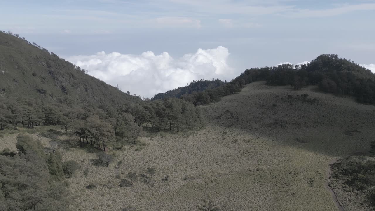 Monte Lawu Giava Centrale Indonesia-4