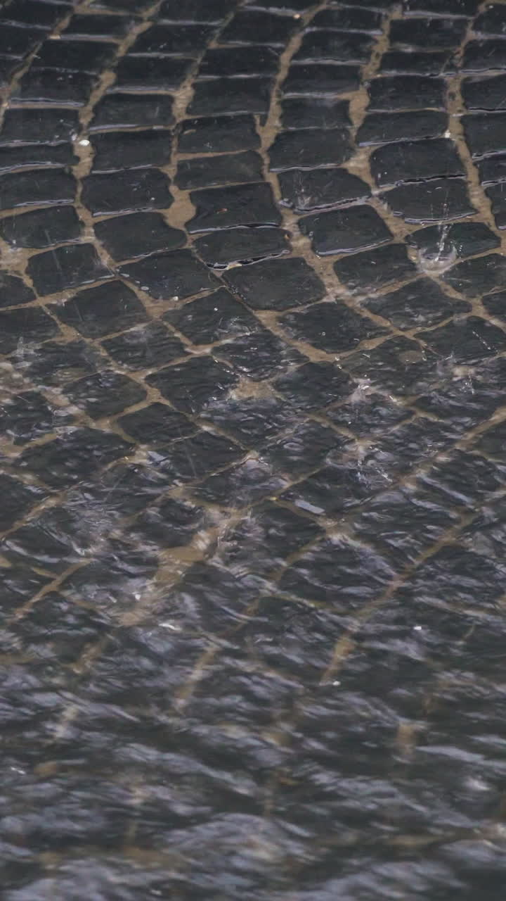 water are flowing through the pavement in the city. Raindrops are turning into a stream of water that flowing up the street. Vertical video