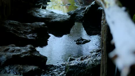 el agua gotea hasta los charcos en la gruta