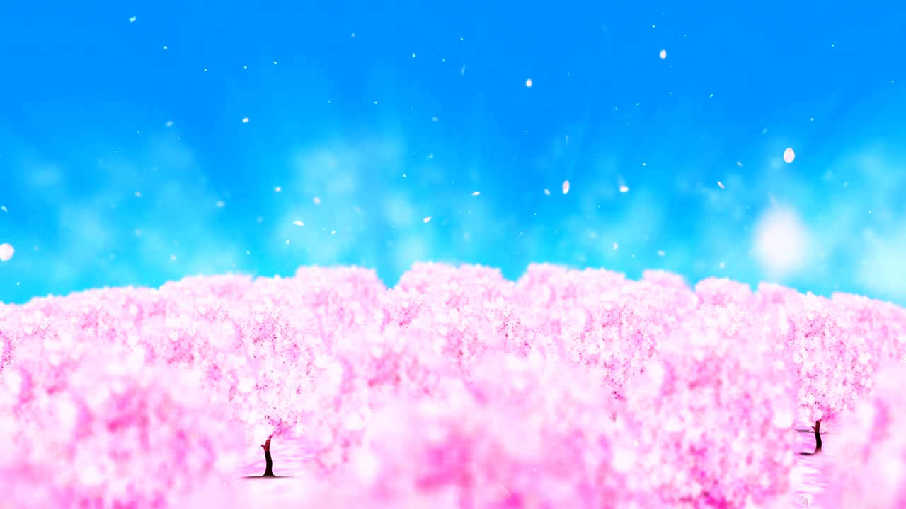 봄의 숲 풍경 일러스트레이션, 추상적인 자연 배경, 체리 꽃 루프 애니메이션