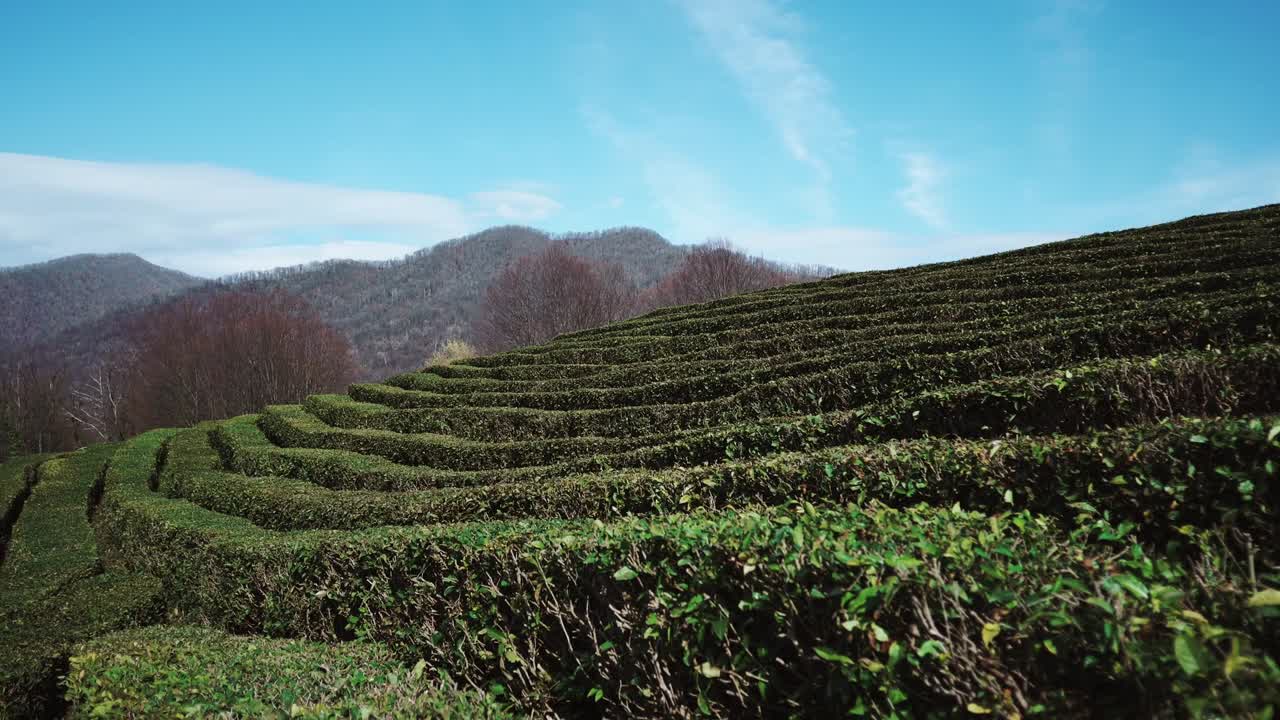 산의 자연 미로에 대한 환상적인 전망