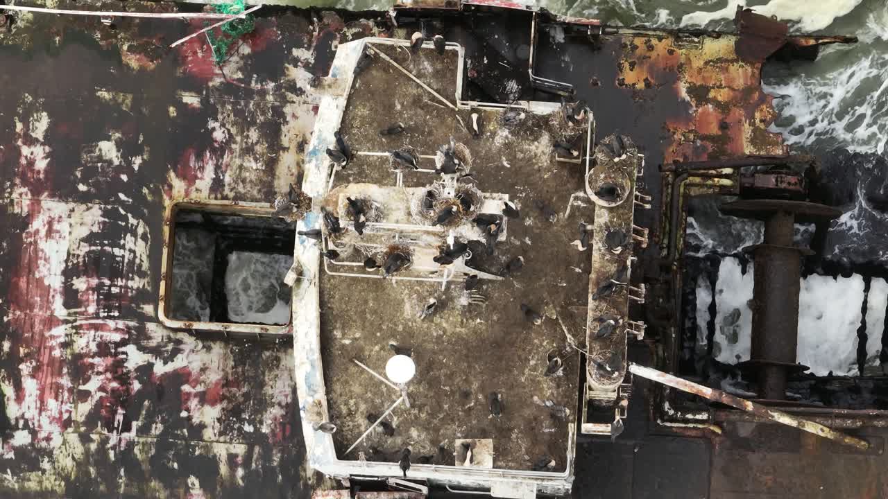 아프리카 나미비아의 제일라 난파선에 있는 새 둥지