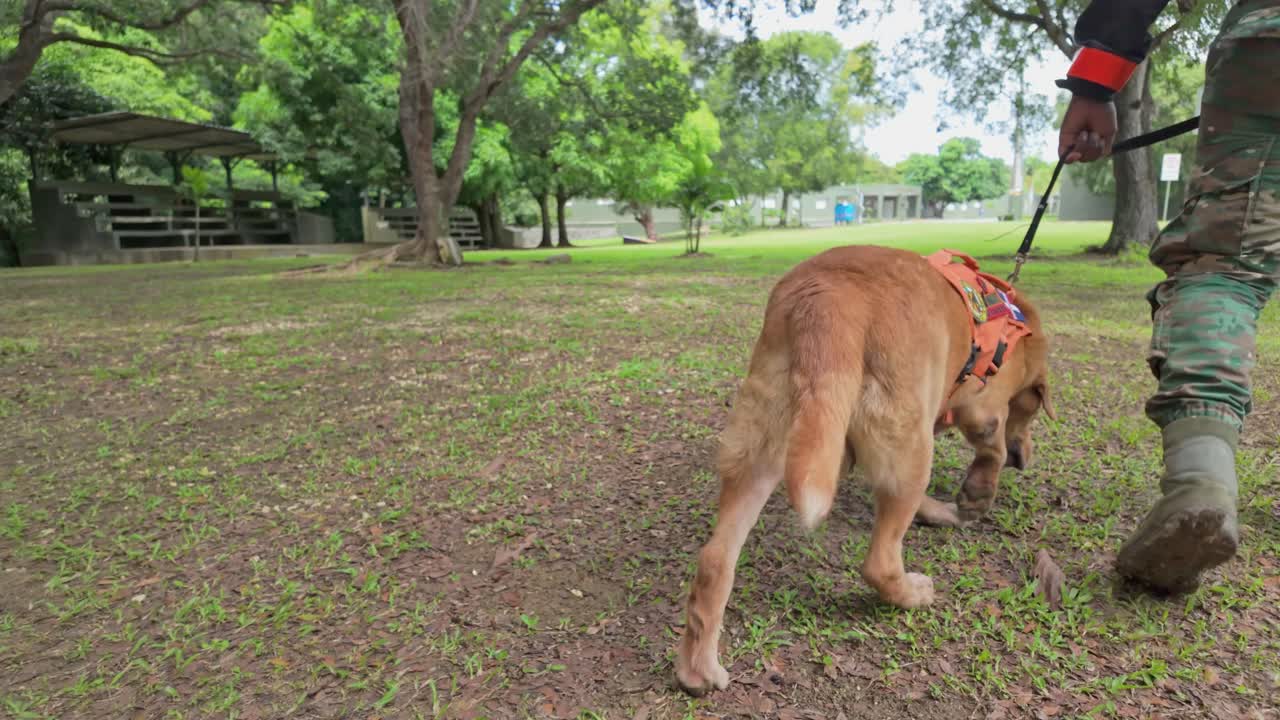 A person in camouflage walking a dog on a leash in a grassy field.