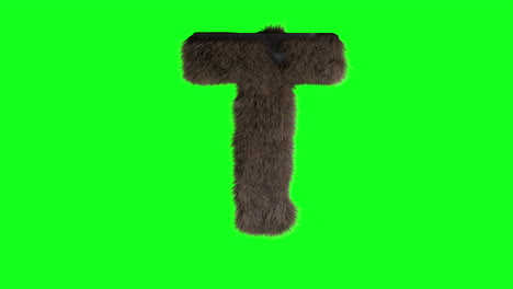 Abstract-hairy-letter-T-sign-fluffy-furry