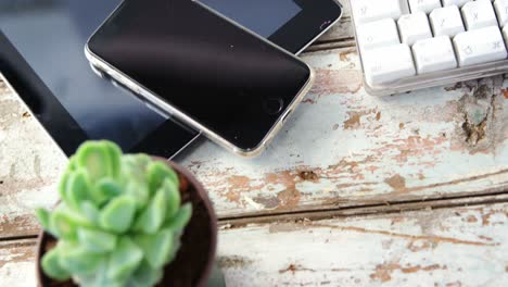 Digital-tablet,-mobile-phone,-pot-plant-on-wooden-plank