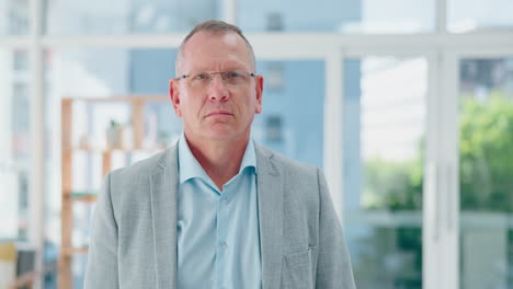 business man face, mature and architect portrait
