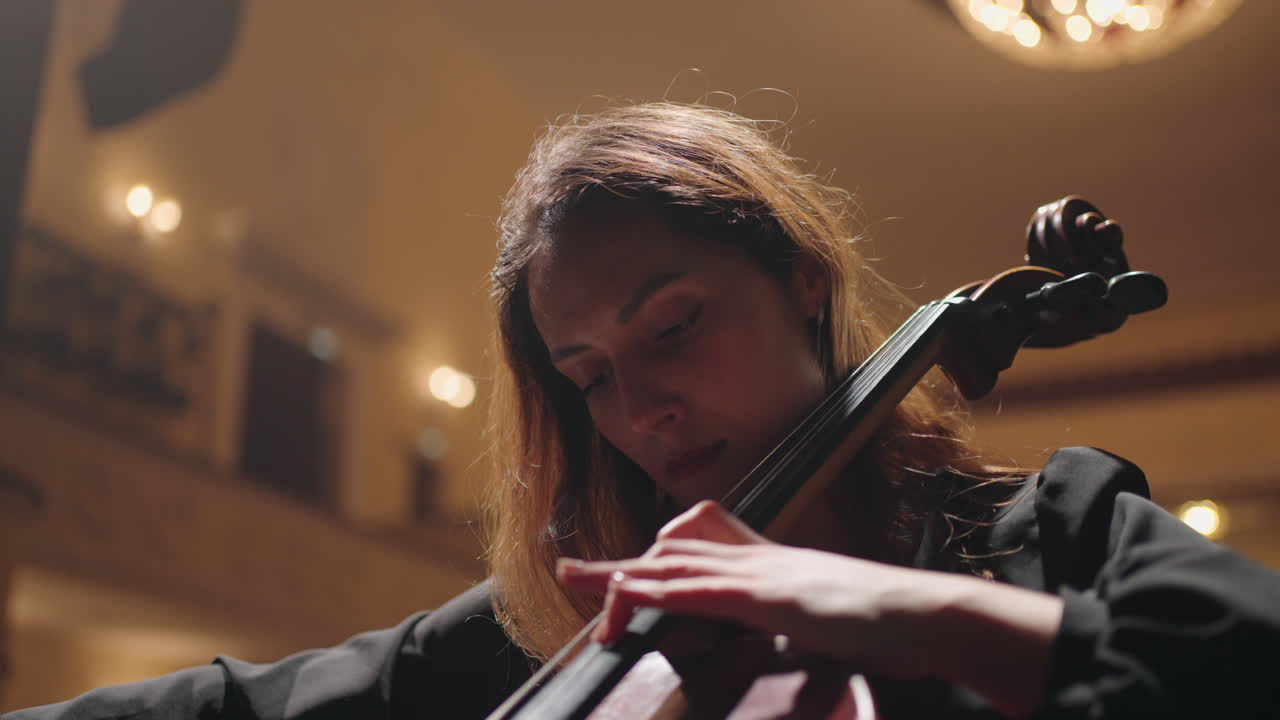 retrato de una hermosa violonchelista tocando el violonchelo en la escena de la sala de música dama y violonchello