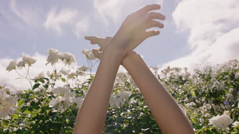 woman hands touching sky reaching for clouds feeling sun on skin enjoying spring beauty in blossoming rose garden