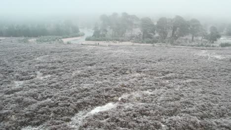 cinematic drone footage flying over people towards a fast flowing river ana ancient scots pine trees through frozen fog in winter