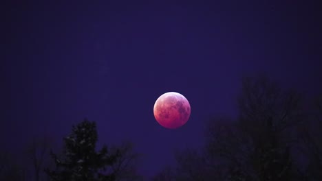timelapse de la súper luna del lobo de sangre, filmada el 21 de enero de 2019 en finlandia