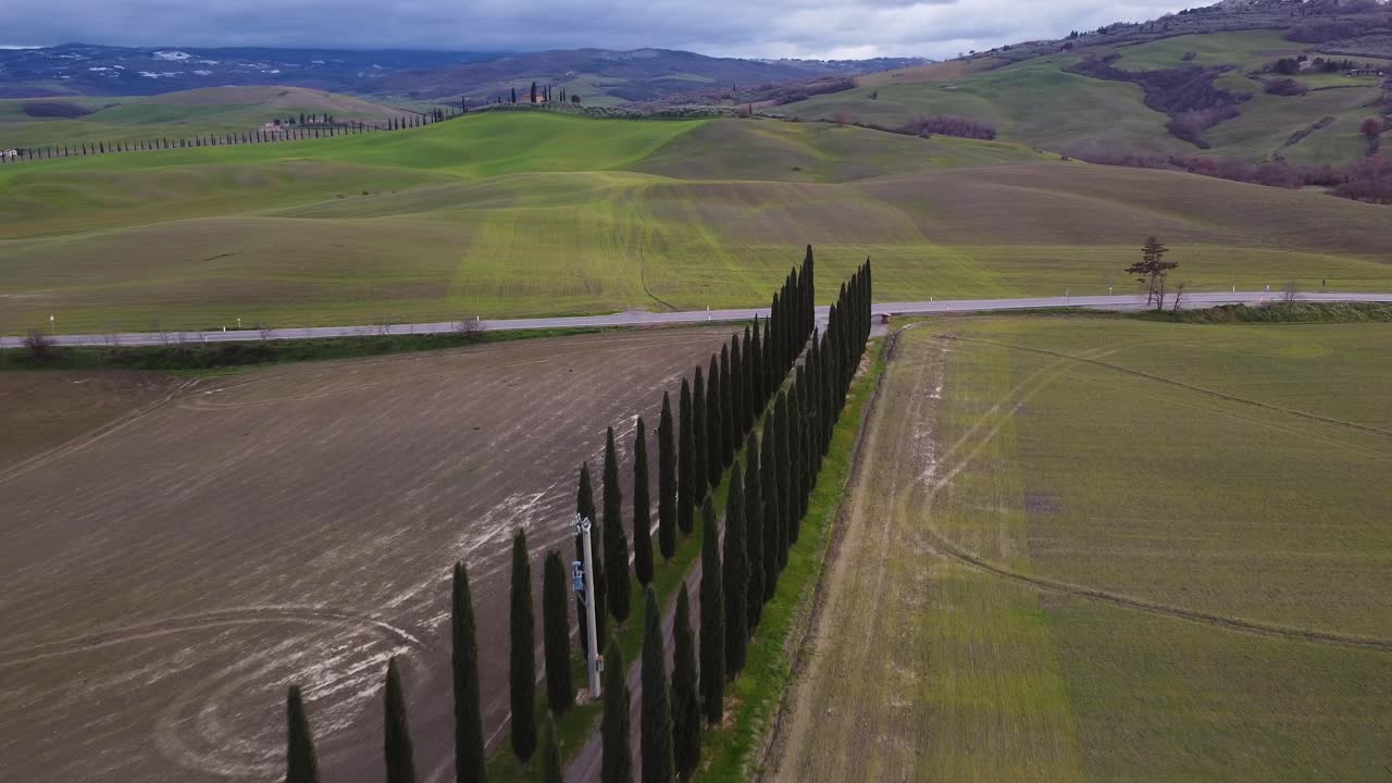 Embark on an aerial dolly across Cinigiano, Tuscany, Italy's rolling hills. The camera moves forward, showcasing a line of cypress trees, lush green fields, and distant hills under a cloudy sky.