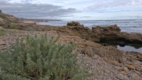 costa rocosa con olas y vegetación