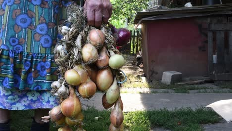 racimo enredado de bulbos de cebolla cosechados