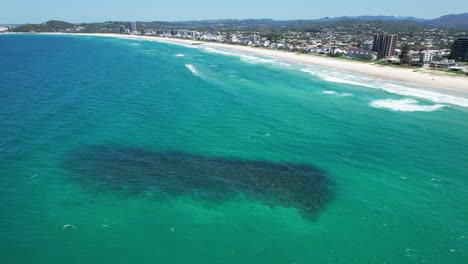 palm beach reef - southern gold coast, queensland, qld - australia - drone shot