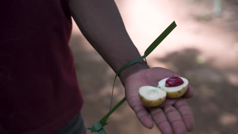 Black-hands-cutting-open-fresh-ripe-nutmeg-fruit-with-knife