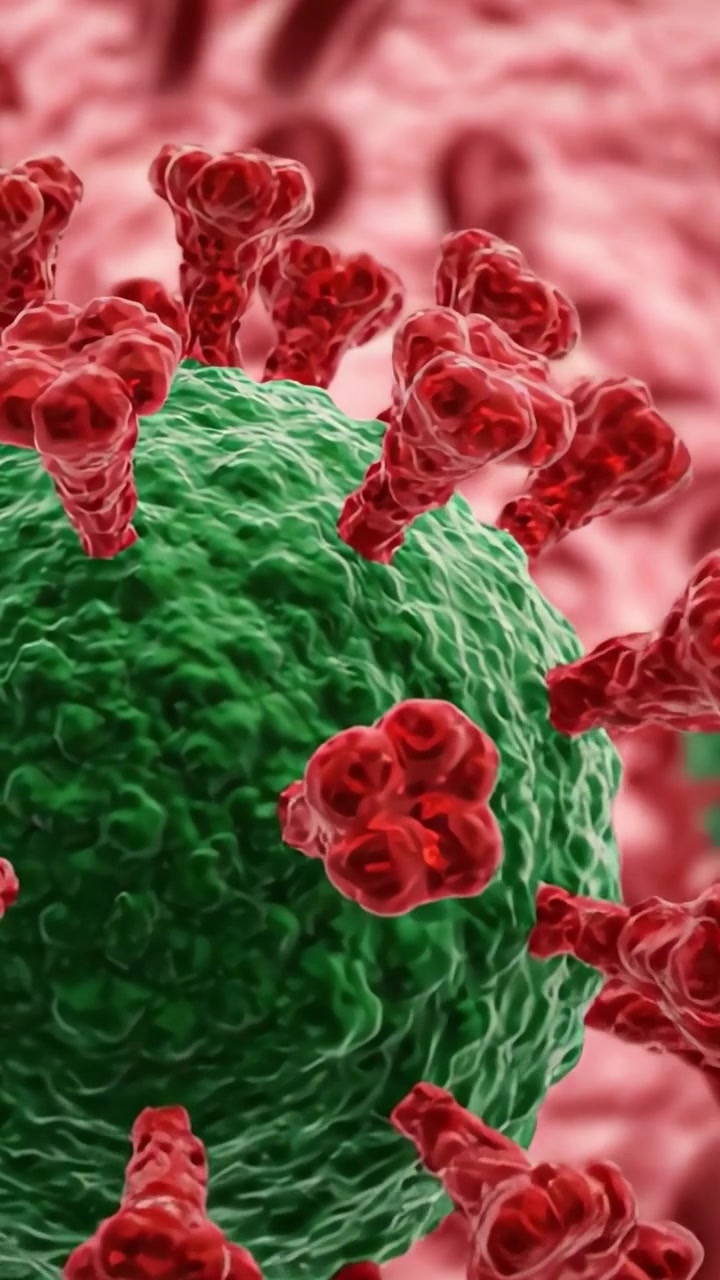 Visione microscopica di virus nel flusso sanguigno: Esplorando l'intricata interazione tra patogeni e globuli rossi a livello cellulare
