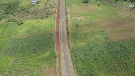 Coche-De-Conducción-Rápida-Que-Pasa-Un-Camión-En-La-Carretera-Que-Cruza-Granjas-Verdes,-Vista-Aérea