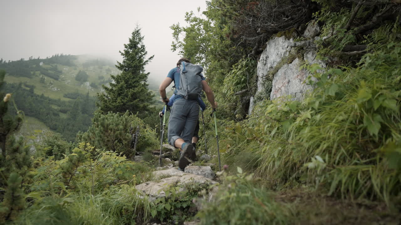 cámara que apunta a dos excursionistas desde atrás en su camino hacia la cima de la montaña, rodeados de flora verde