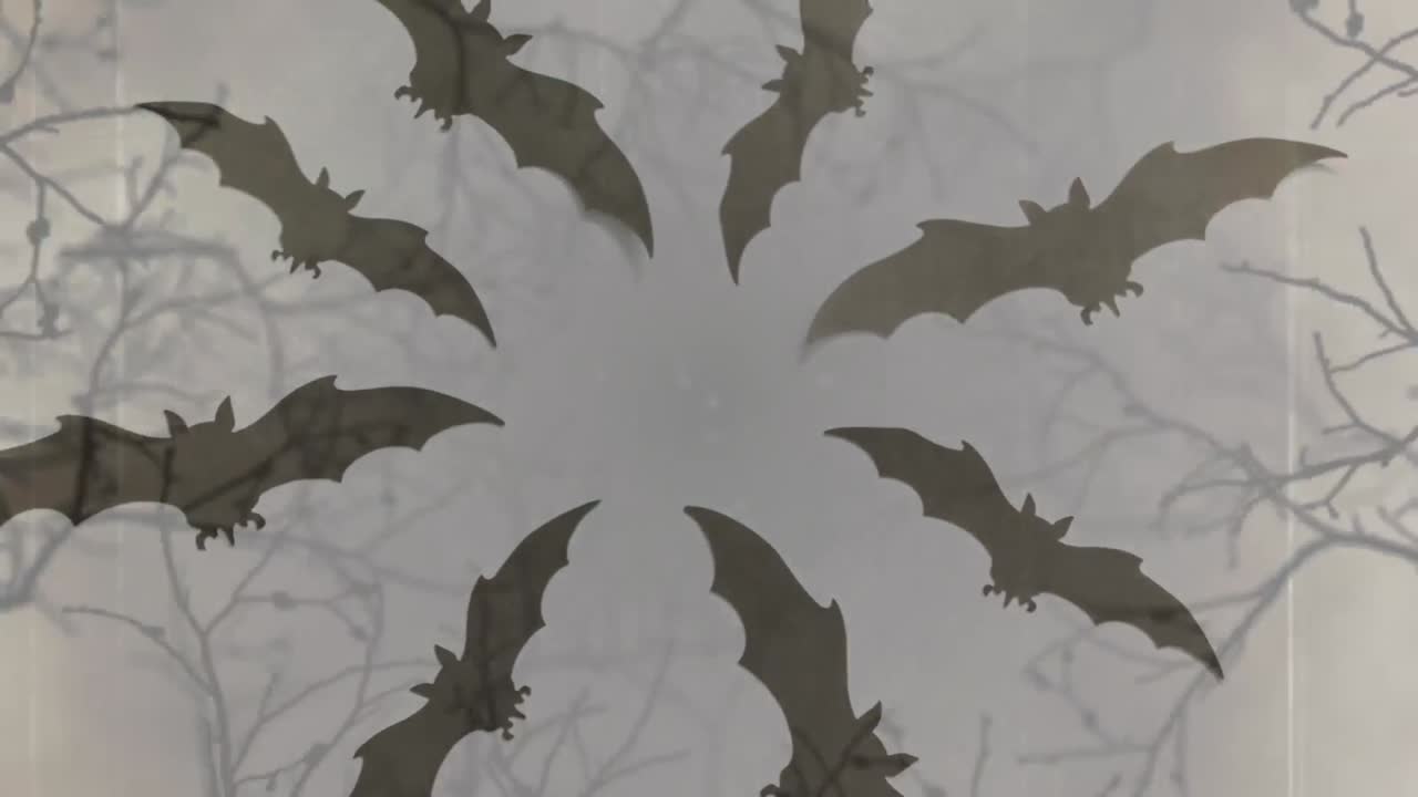 Animazione di pipistrelli grigi di Halloween in cerchio su sfondo grigio.