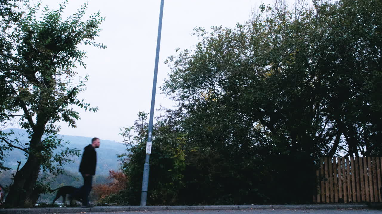 A man walks his dog uphill along a quiet street past a lamppost in the soft early morning light, capturing a peaceful urban moment