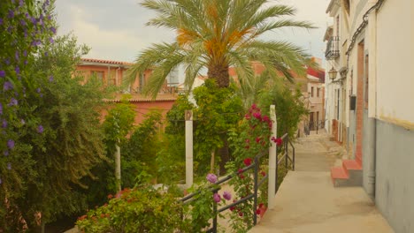 Blühende-Blumen-Im-Grünen-Garten-Durch-Den-Weg-In-Der-Altstadt-Von-Sagunto,-Valencia,-Spanien