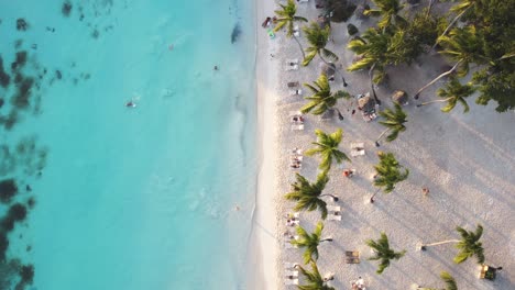 aerial view of the beach with turquoise water and white sand. palm trees pegs in the wind.