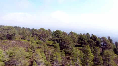 Schöne-Luftaufnahme-über-Wald-Waldhang-Berglandschaft-über-Bäume,-Um-Eine-Erstaunliche-Landschaft-Zu-Enthüllen