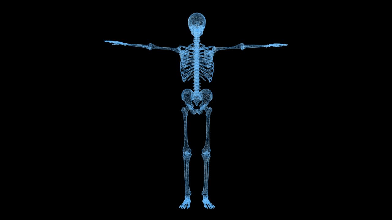 video en 4k de un holograma del cuerpo humano girando sobre un fondo negro.