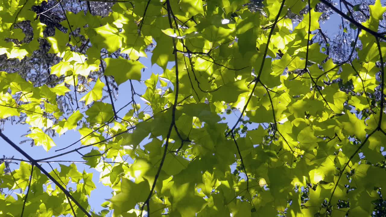 imágenes de unos bonitos jardines y la zona boscosa que lo rodea