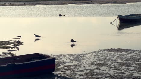 Cinematic-view-of-an-old-fishing-boat-standing-stranded-on-shore-line