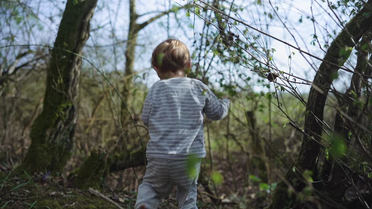어린 소년은 화창한 날에 숲을 탐험하기 위해 느리고 꾸준히 걸어갑니다