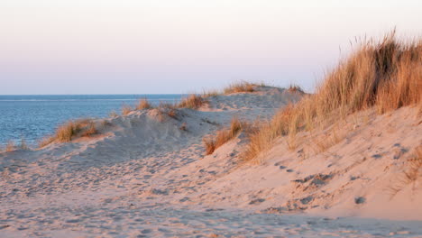 offshore sand dune mountain with sea grass during summer