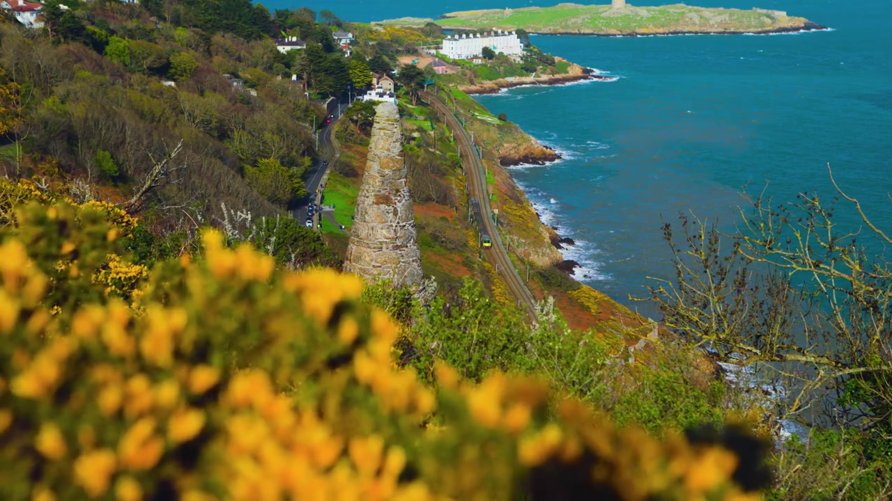 ダルキー島と黄色いゴースの花を背景に、沿岸を走るアイリッシュ・レールDART列車