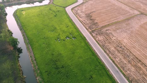 The-road-passes-a-cultivated-area