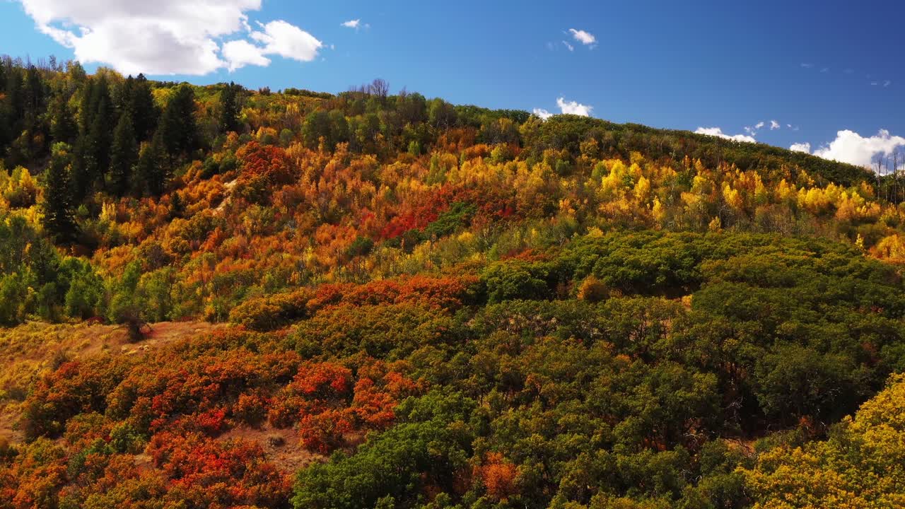 Scenic aerial view of Colorado hill country landscape and forest during autumn in the day time.