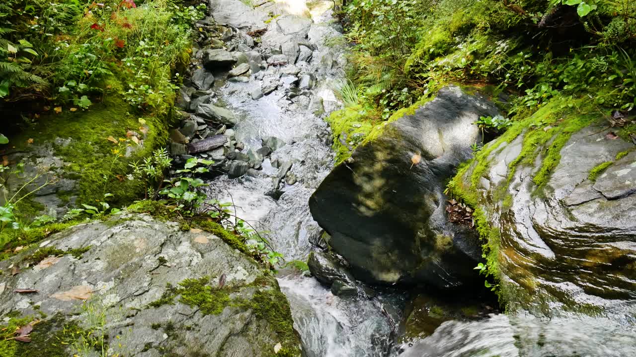 Tilt up shot of idyllic waterfall falling into rocky and mossy river during sunlight at Rob Roy Track in New Zealand