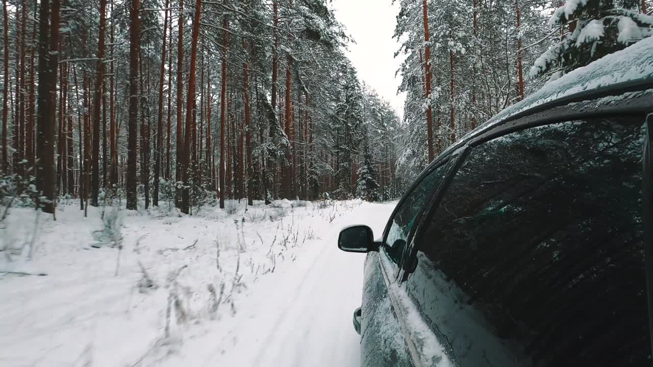 cámara lateral montada en el automóvil que conduce a través de un camino forestal cubierto de nieve